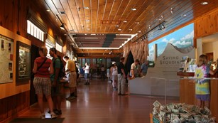 Exhibits in Giant Forest Museum