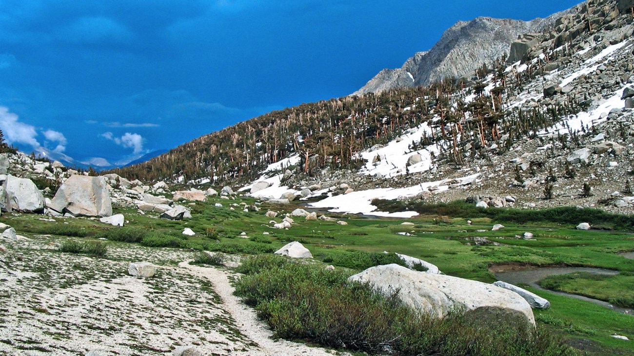 Read the Parks Stock Users Guide