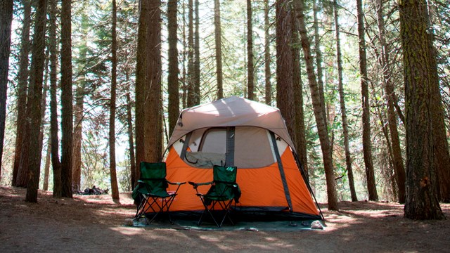 An orange tent and two camp chairs is nestled among tall trees in a campground.