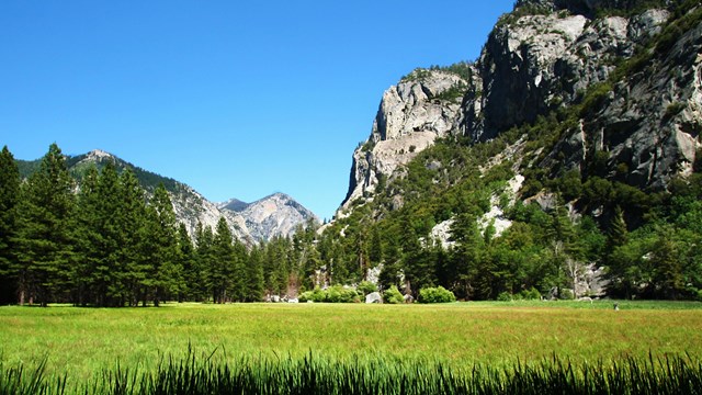 Zumwalt Meadow lies along the floor of the spectacular Kings Canyon in Cedar Grove.