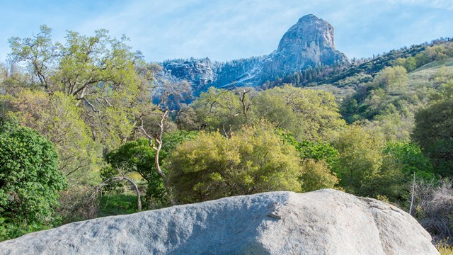 Gren rolling hills with a large granite dome in the background.