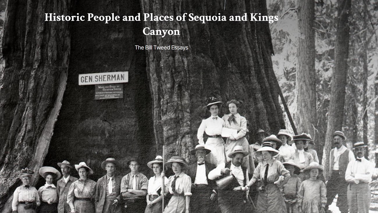 A group of visitors in 19th century clothing pose underneath the General Sherman sequoia tree.