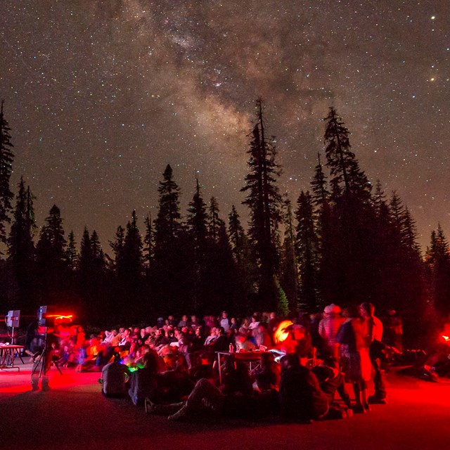 People under a starry sky. Photo by Alison Taggart-Barone.