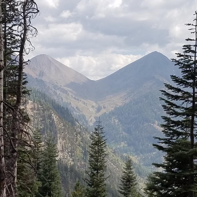 Conifer trees and the-shaped Farewell Gap pass in the background, Mineral King