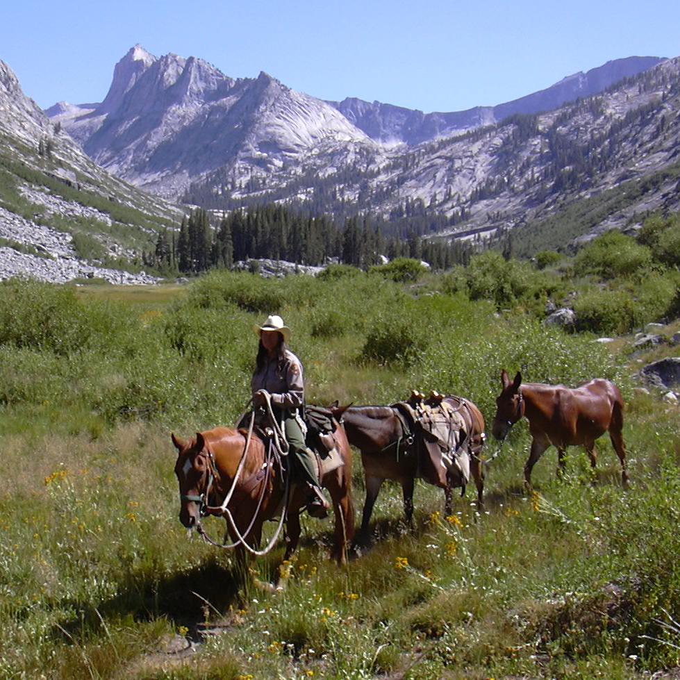 A woman on a horse in a high Sierra canyon