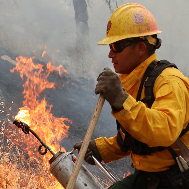 A firefighter works during a prescribed burn.