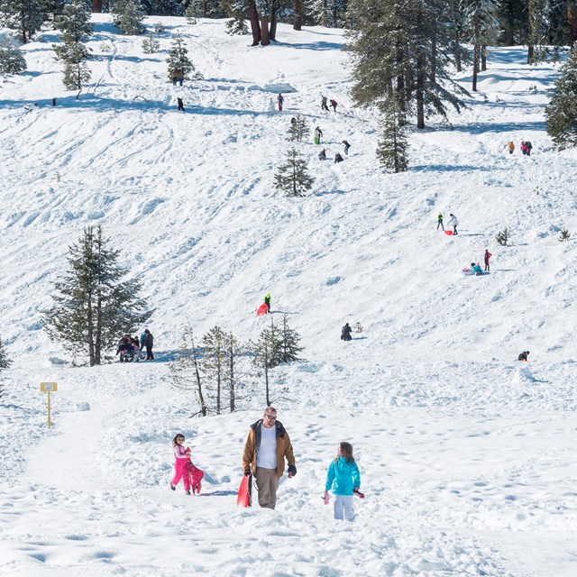 A snowy landscape full of visitors sledding and enjoying time in the snow.