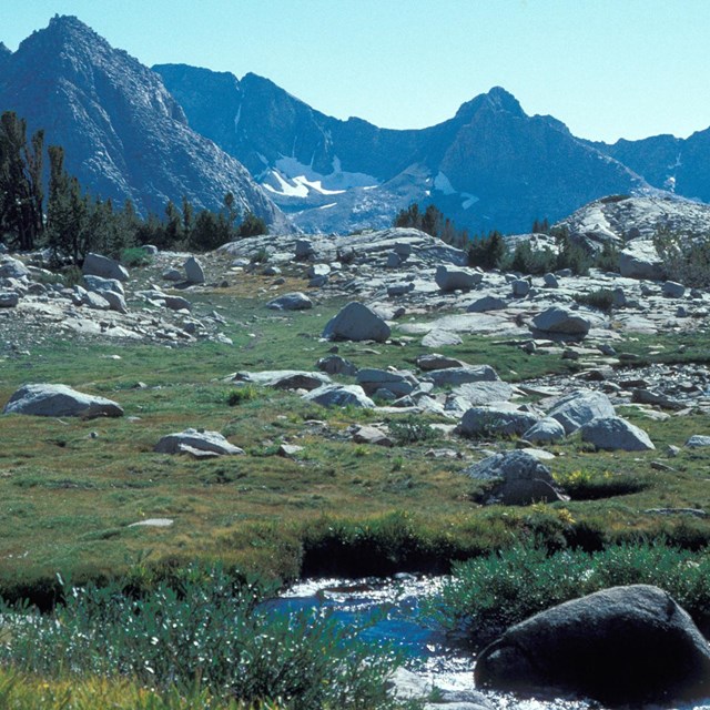View of mountain peaks and meadow with stream in foreground
