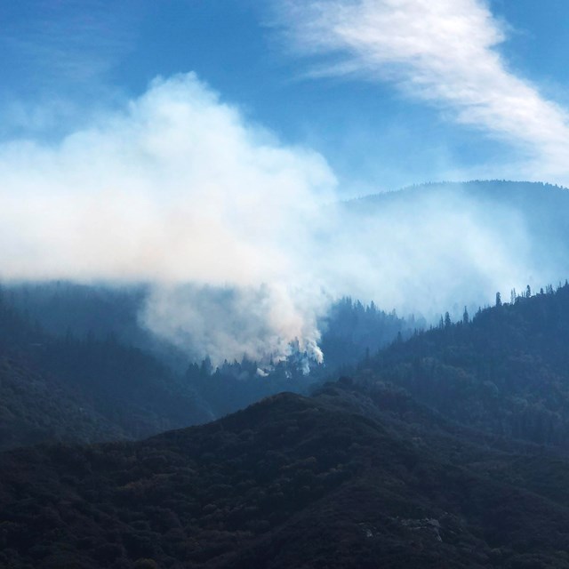 Smoke rises from a fire on a forested mountain.