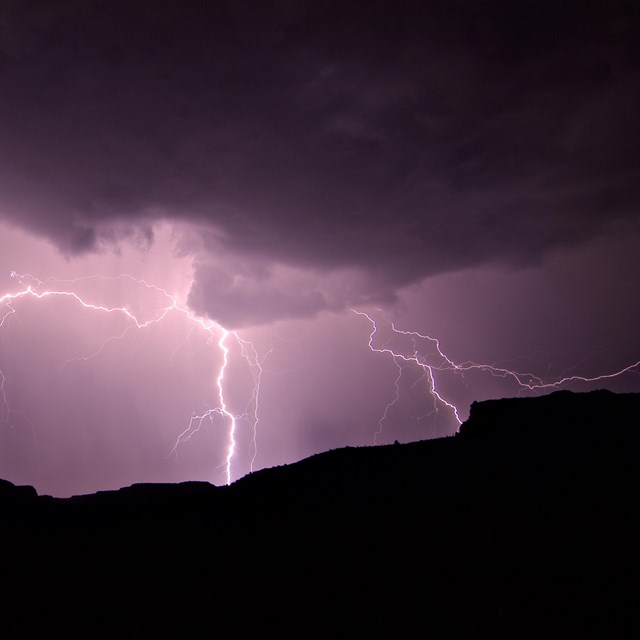 Lightning bolts in a night sky