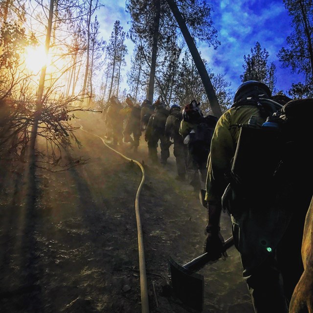 Firefighters hike into a burned forest.
