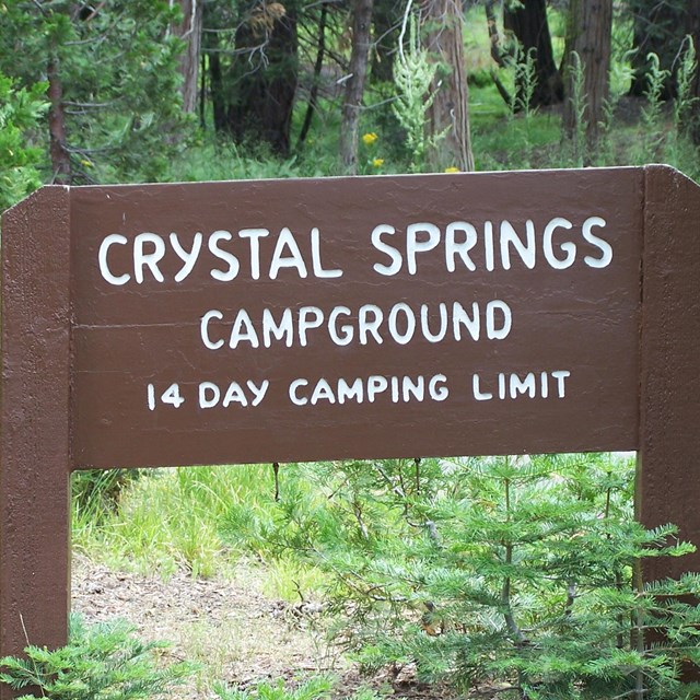 A brown wood sign with white routed lettering says Crystal Springs Campground.