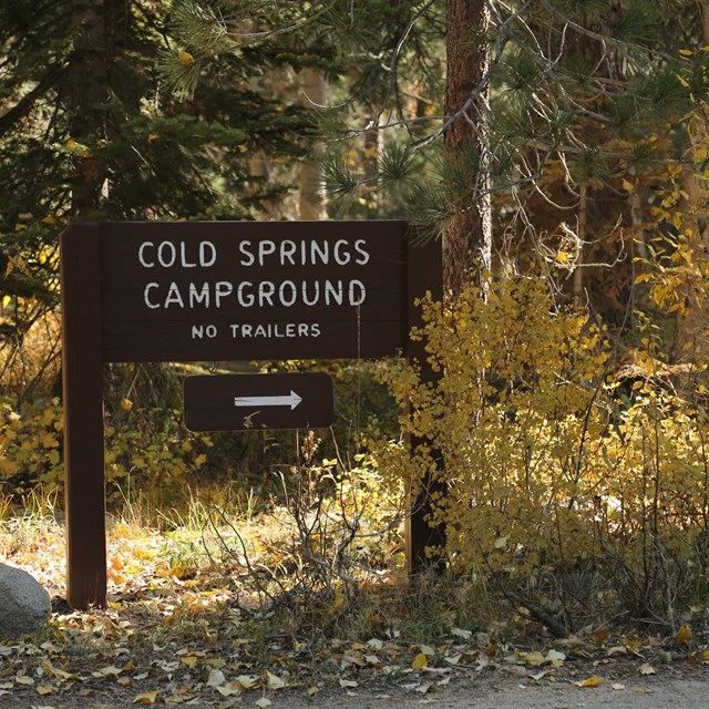 A brown sign with white letters says Cold Springs Campground