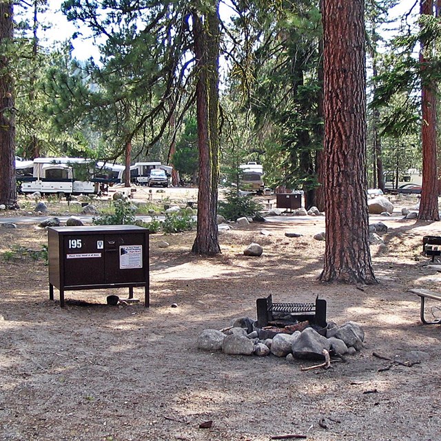 Campsite with campfire ring, picnic table, and food storage locker