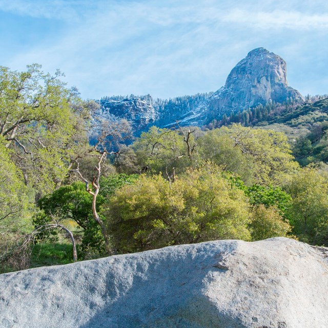 Gren rolling hills with a large granite dome in the background.