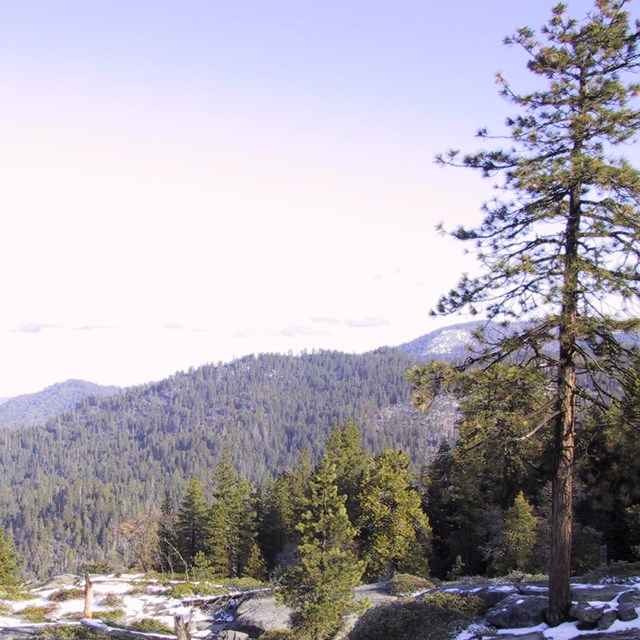View of hazy air from Sequoia National Park.