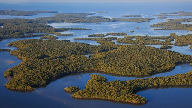 An aerial view of the Everglades National Park mangrove landscape.