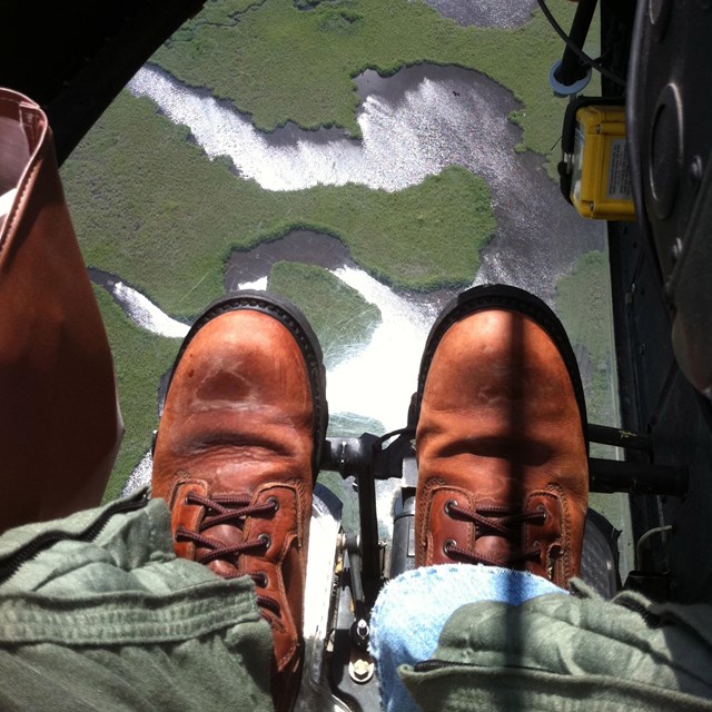 Scientist looking down at the Everglades landscape from a helicopter