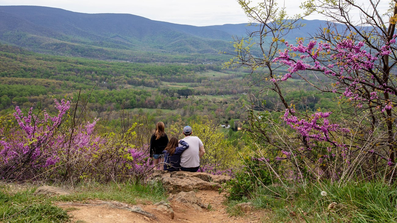 Dad and two daughters admiring spring landscape from Gooney Manor Overlook