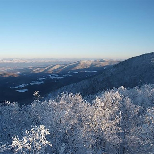 A view from a mountain overlook of trees and mountains covered in ice and snow.