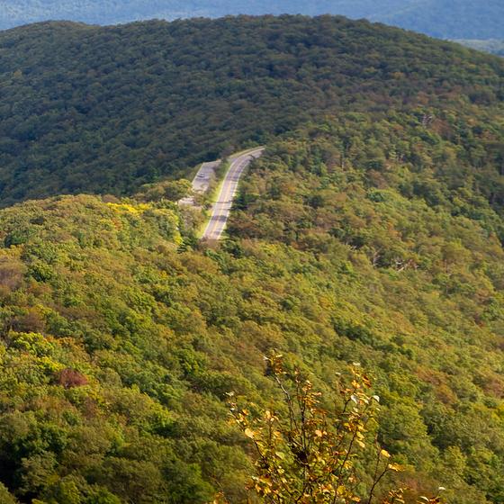 View of Skyline Drive from Stony Man cliffs