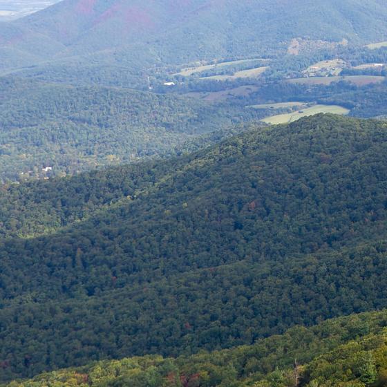 View of Skyline Drive from Stony Man cliffs