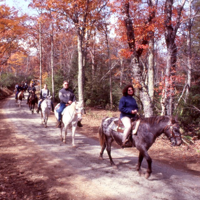 A group of people riding horses on a trail.