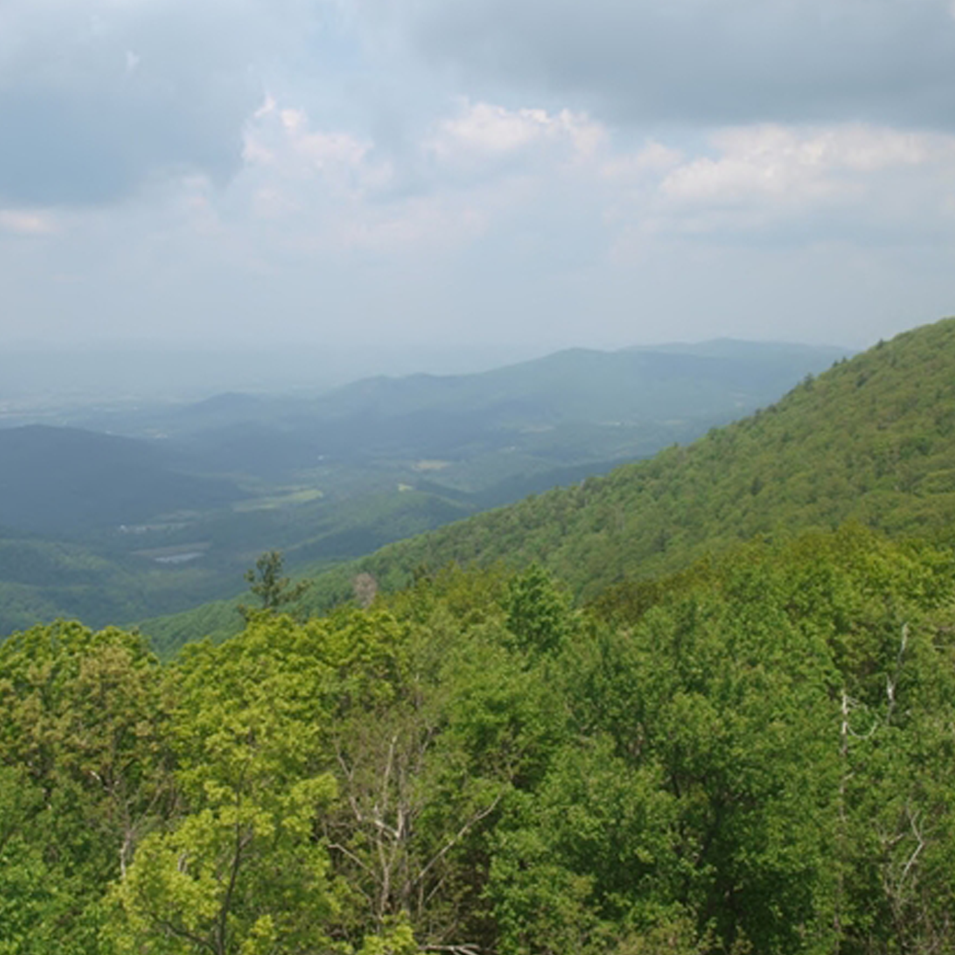 A view from Pinnacles Overlook, mountains.