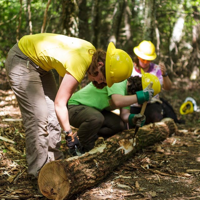 Youth Corps members doing trail work.