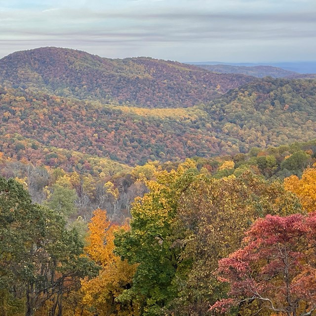 A fall landscape on a mountain range.