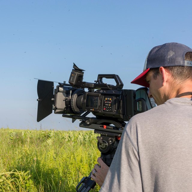 A man films a cluster of wildflowers in a meadow with a large video camera.