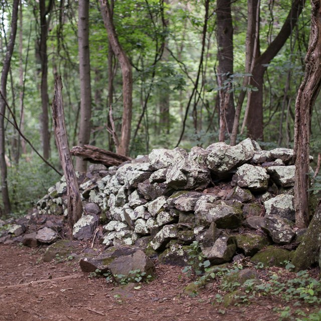 An old rock wall leans over a dirt hiking trail in the middle of a dark green forest.