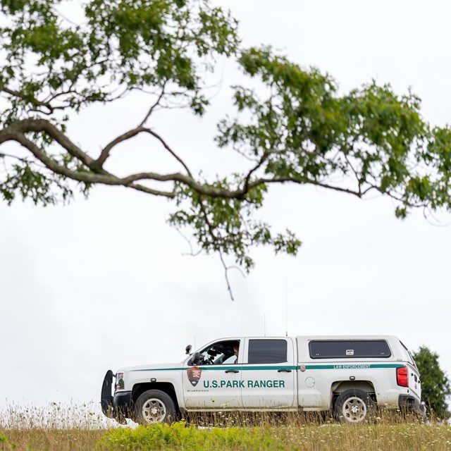 Park Law Enforcement Vehicle