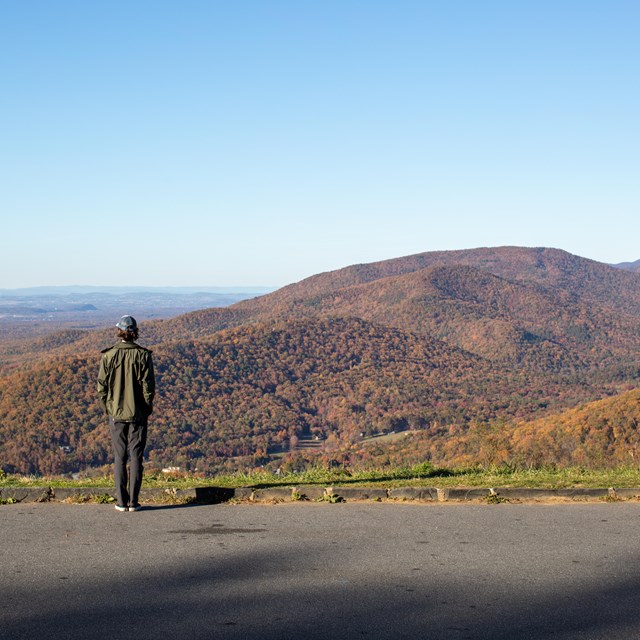 Visitor standing at an overlook