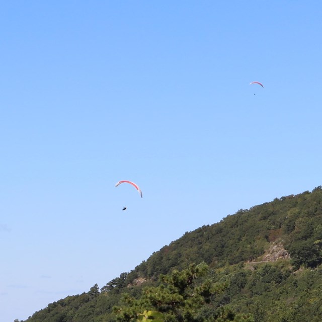 Hang gliders near Dickey Ridge