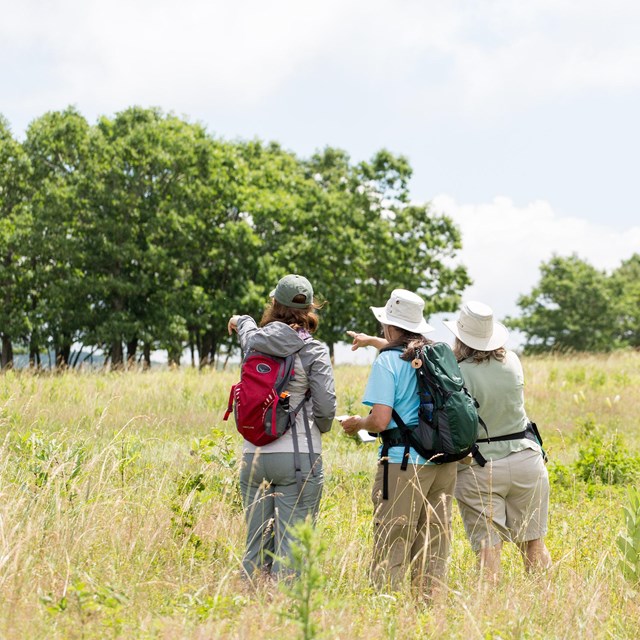 Three people in a field pointing to the distance.