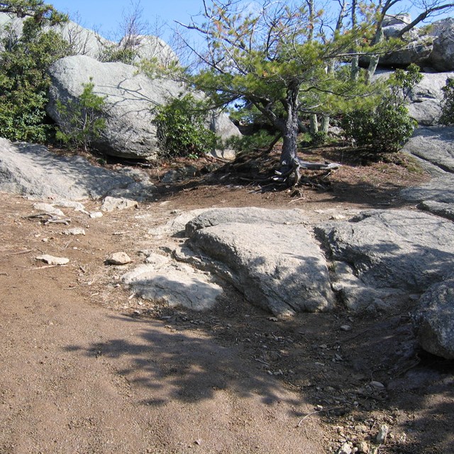 A rock outcrop that has been trampled to bare dirt.