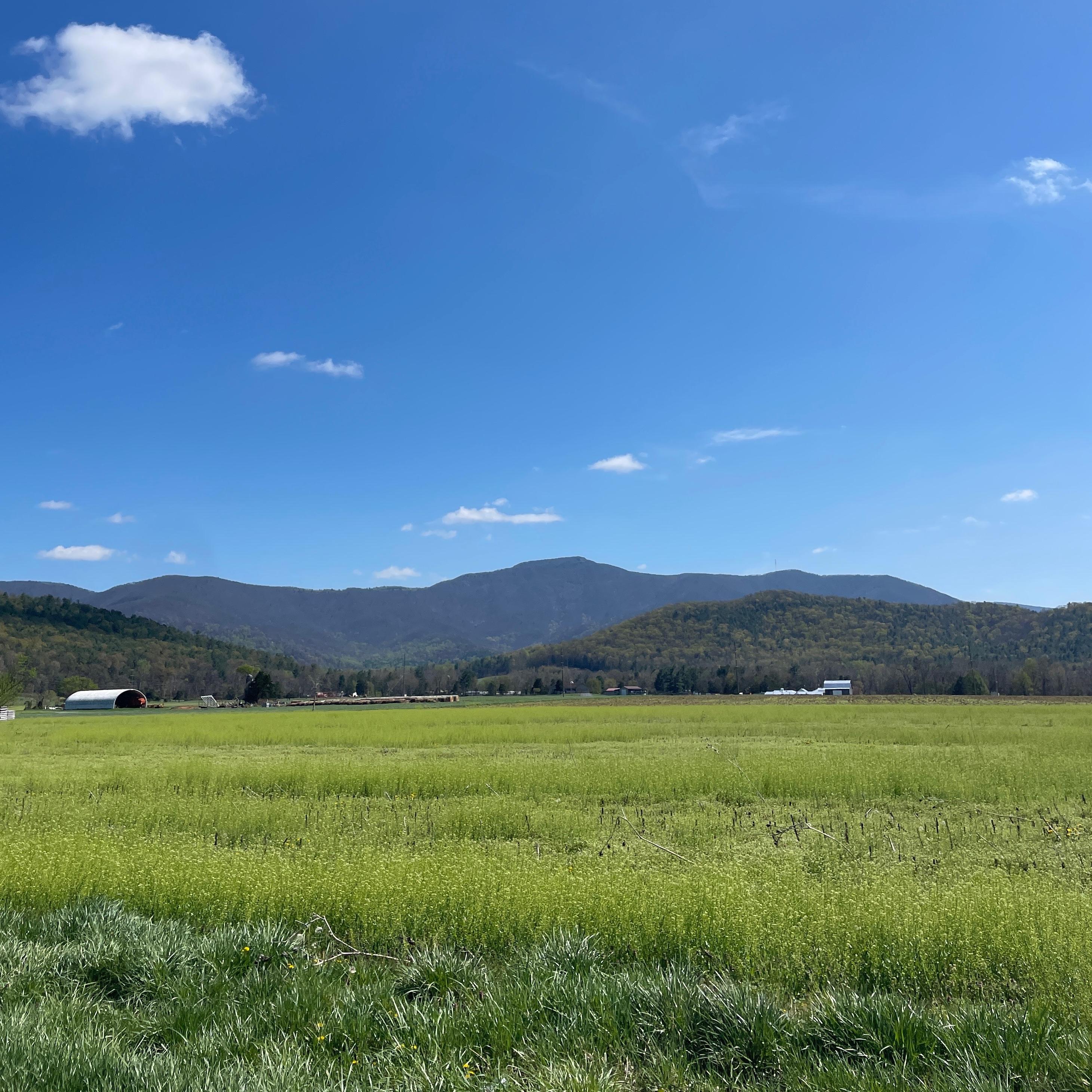A field leading to Blue Ridge Mountains