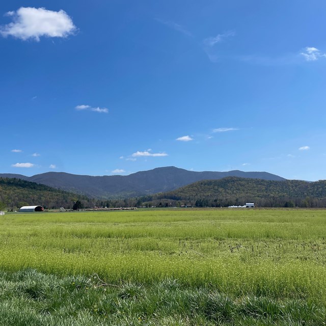 A field leading to Blue Ridge Mountains