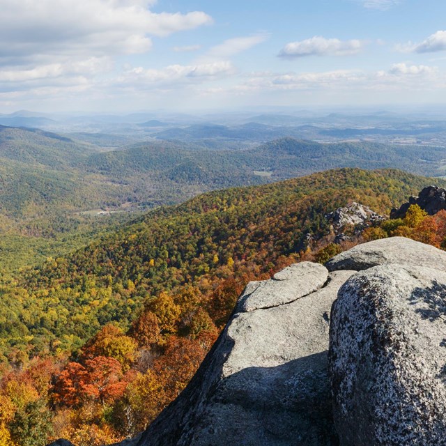 A summit of rocks highlighted by the yellows and reds of fall colors.