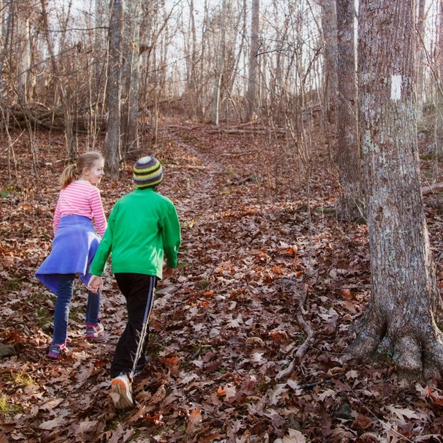 A young boy and girl hike up a trail strewn with brown, fallen leaves.