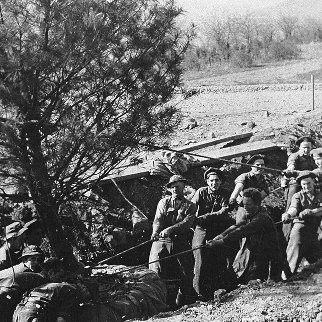 A historical, black-and-white photo of a group of young men pulling on ropes wrapped around a tree.