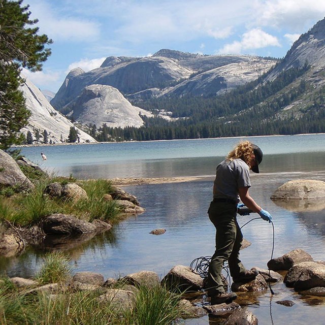 Park scientist collects water quality data at outlet of Tenaya Lake with granite domes in background
