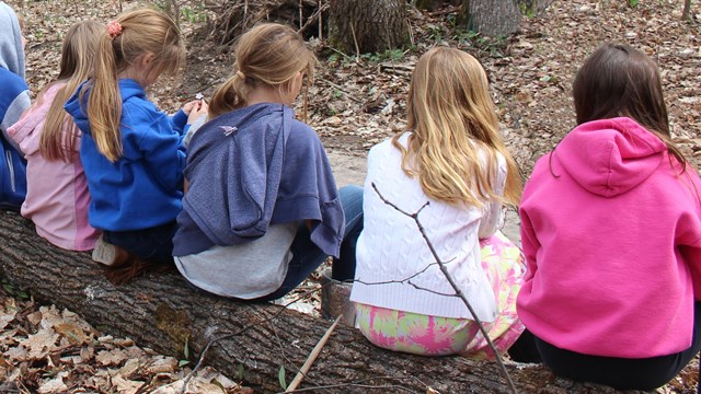Students sitting on a log in the woods.