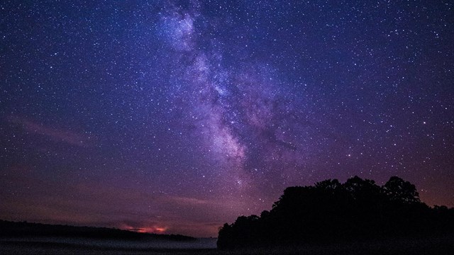 A clear night sky and the milky way full of stars glow over the silhouette of a forest.