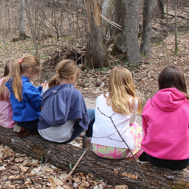 Students sitting on a log in the woods.
