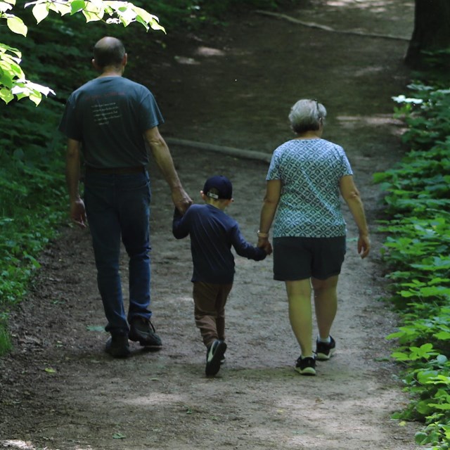 Two parents and a child walk down a shady forest trail