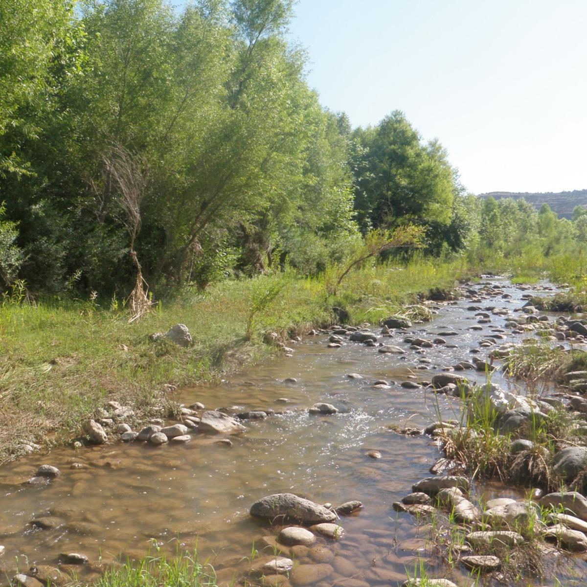 Beaver Creek, Montezuma Castle NM