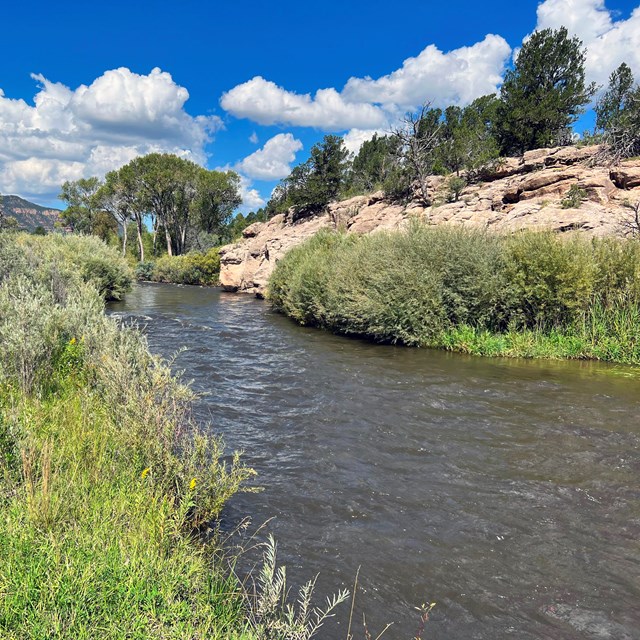 A narrow river flowing by shrubby banks, trees, and a rock escarpment.