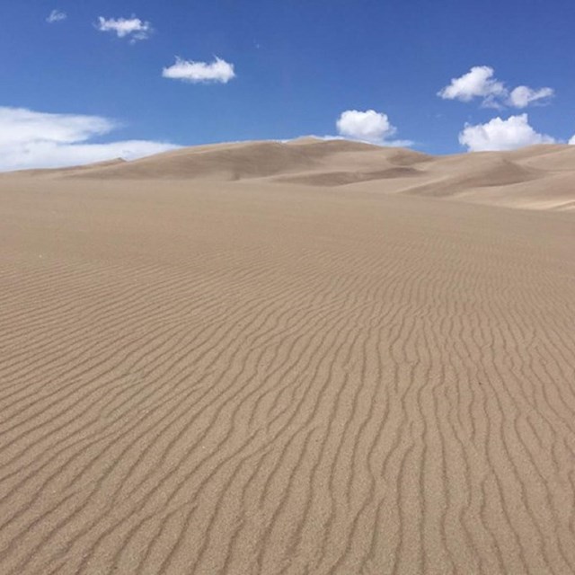 Supporting Literature